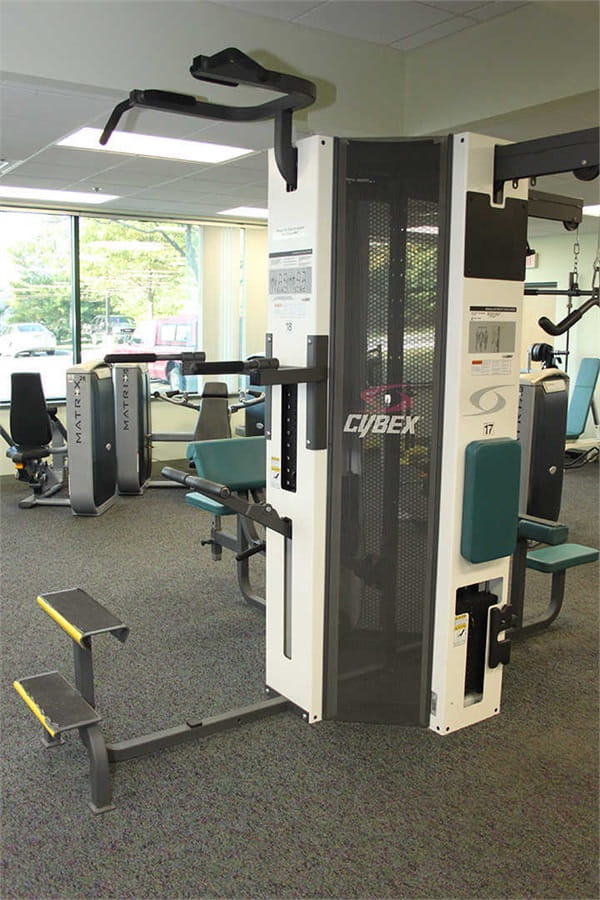 Cybex Assisted Pull Up/Dip Machine